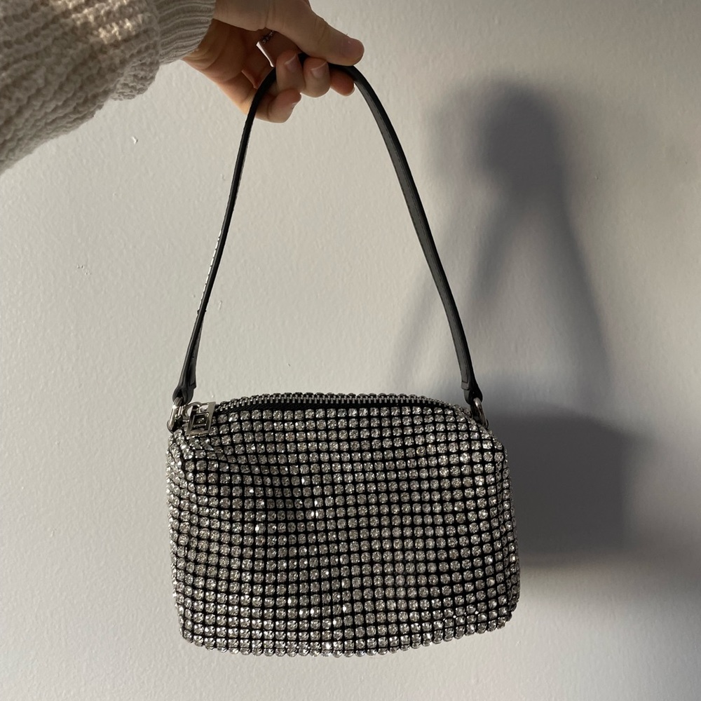 The Alexander Wang Heirness pouch in rhinestone mesh.